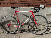 Vintage Ready-to-Ride Norco Bike (m)