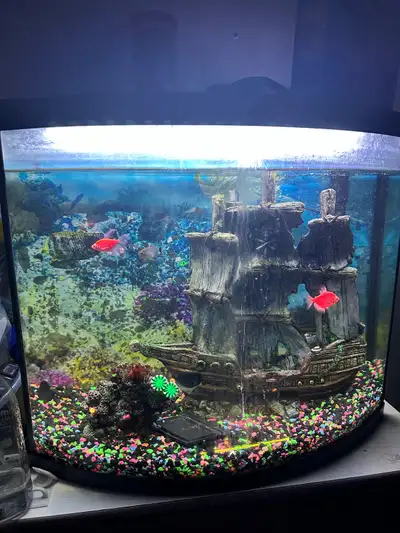 25 gal, 6 fish. 1 plecko. all rocks, ship etc. heater & filter, comes with 5 extra filters