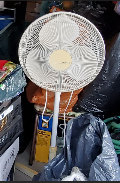 Oscillating pedestal fan, View more