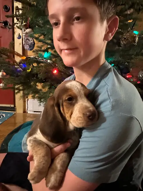 We raise third generation therapy dogs and family pets in Houston, BC. LAST Christmas deliveries bef...