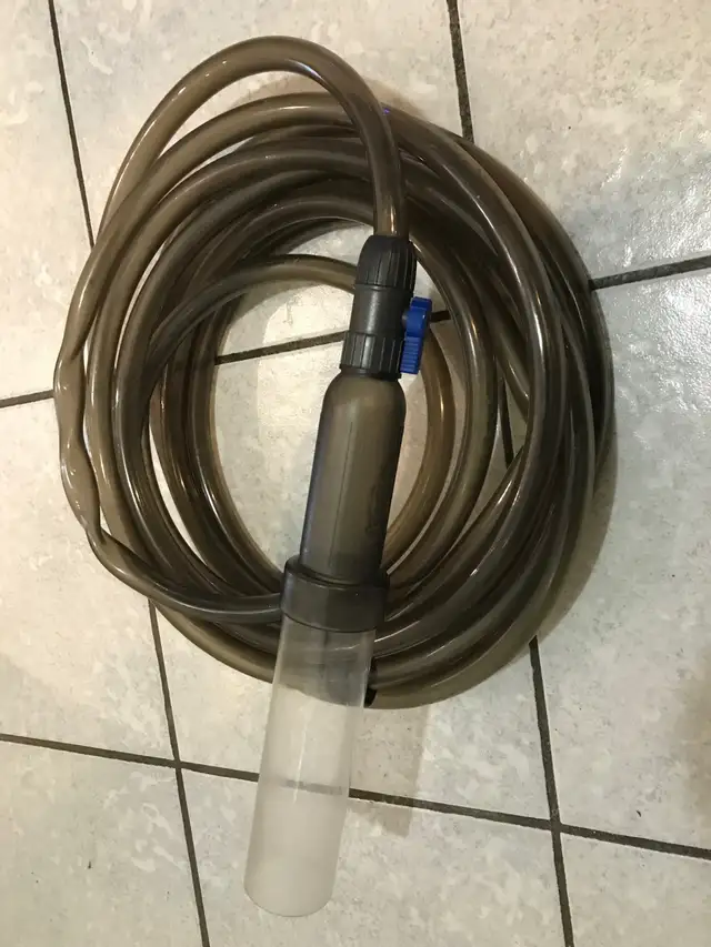 Great Deal ! Aquarium Supplies in Fish for Rehoming in Mississauga / Peel Region - Image 4