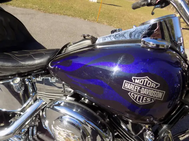 Harley Davidson Heritage Softail 2001 in Street, Cruisers & Choppers in Ottawa - Image 3
