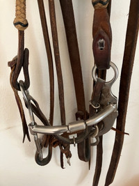 Bits and reins for sale