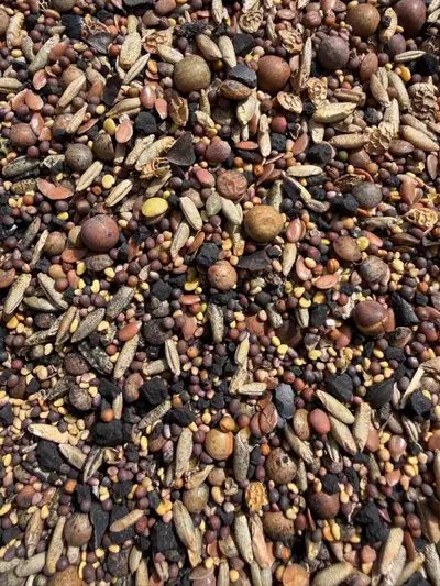 seed mix , View more
