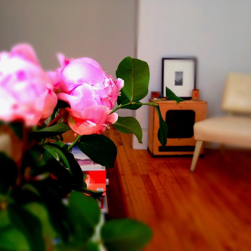 Chambre à louer meublée/Apt. to Share -PLATEAU-MONT-ROYAL — photo 2