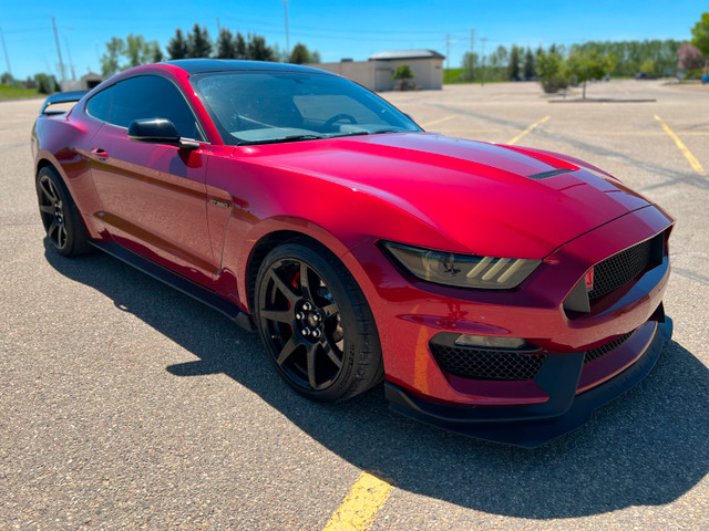 2018 Ford Mustang Shelby GT350R in Cars & Trucks in Calgary - Image 4