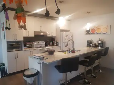 Appartement 5 1/2 St-Hyacinthe meublé tout inclus août à janv