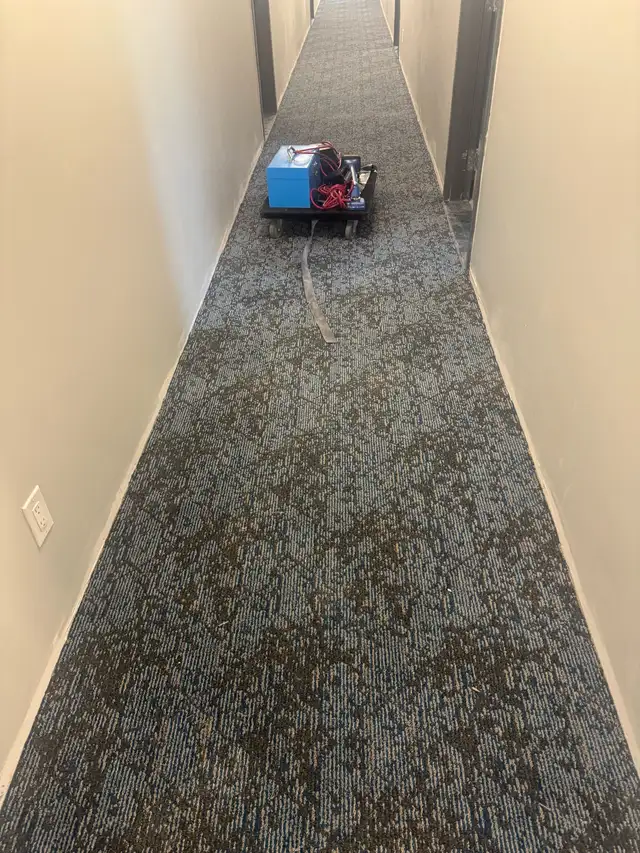  CARPET INSTALLATION509908066123786244