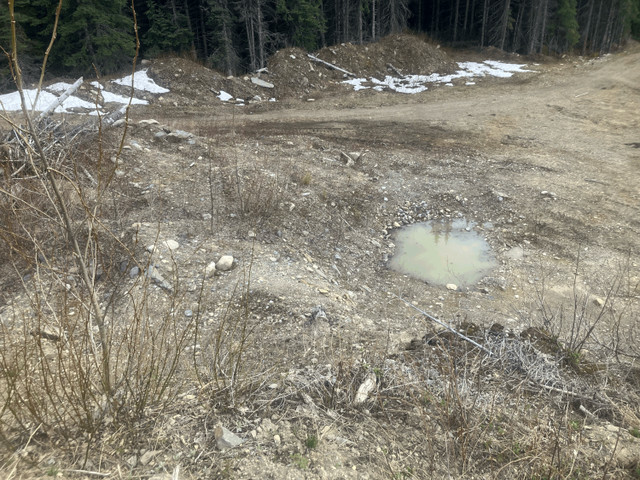 Willow River Gold Claim in Land for Sale in Quesnel