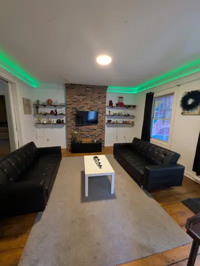 Half months free rent!!! Spacious 2 bedroom furnished pet friendly apartment available on Barrington...