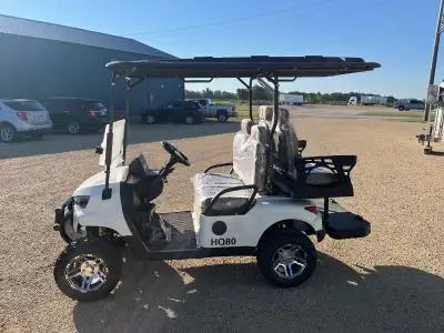 2026 SD Lanch 4 seat golf cart - 60 V electric - Am/fm radio with Bluetooth - 10” LED screen - Back...