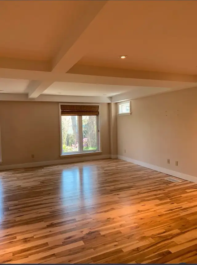 Kim & Co. Painters62866660328707124
