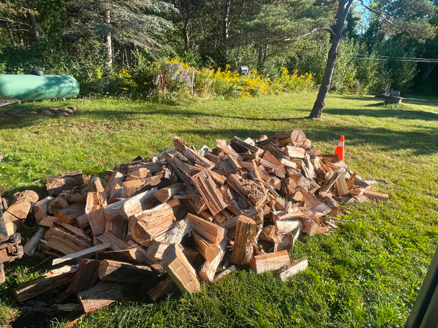 Firewood For Sale - Delivery - Seasoned Hardwood in Fireplace & Firewood in Kawartha Lakes - Image 2