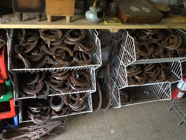 Horseshoes $4 EACH Or $150 For 50 in Arts & Collectibles in Trenton