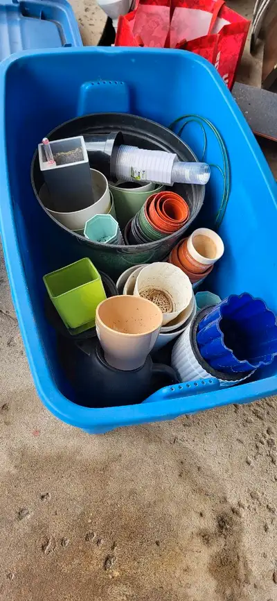 free plant pots, View more
