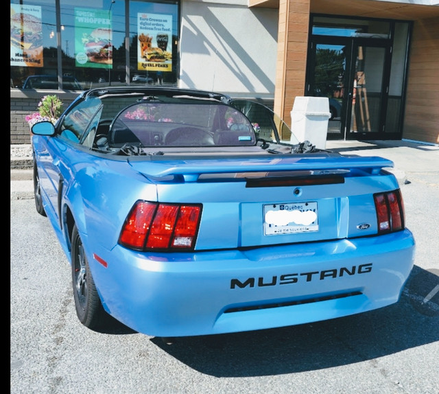 2003 Ford Mustang V6 Convertible dans Autos et camions  à Ville de Montréal - Image 3