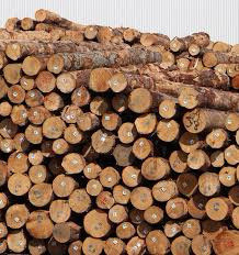 Logging Contractor Retiring in Other in Thunder Bay