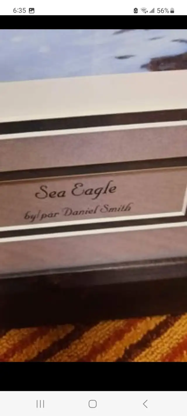 Sea Eagle framed print by Daniel Smith in Arts & Collectibles in Mississauga / Peel Region - Image 5