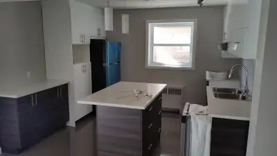 Dorval- Large 4 1/2- Fully renovated- HEATED- Pkg- available