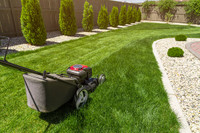 Monthly Lawn Care Capilano Bonnie Doon Area