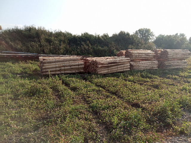 Cedar fenceposts , various sizes in Decks & Fences in Thunder Bay - Image 3