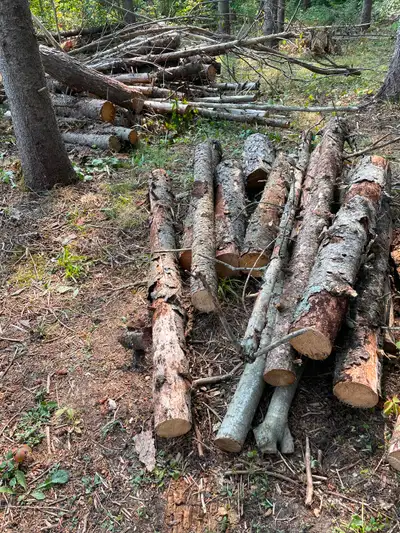 FREE firewood, View more