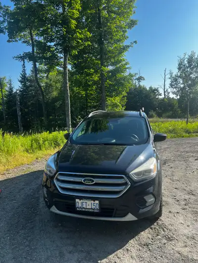 2017 Ford Escape 2.0L Ecoboost.