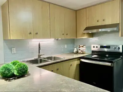 Bright & Modern Home + Laundry + Parking + Patio + Fireplace + 1 Bus to Subway Newly Renovated, Fres...