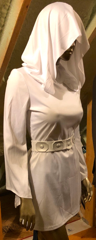 Star Wars Princess Leia Costume - Size Small in Costumes in Strathcona County - Image 2