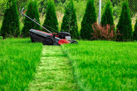 Lawn maintenance available 