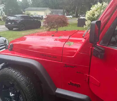 2000 Jeep Wrangler fully restored entire body motor runs great low kilometres 149,000 $8500 or best...