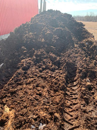 Composted horse manure