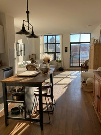 Beautiful Modern Loft for rent in Matchedash Lofts