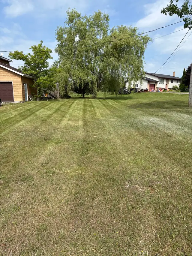 Lawn Care & Landscaping Services in Lawn, Tree Maintenance & Eavestrough in Belleville - Image 4