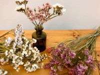 Dried flowers, for crafting, decoration or wedding centrepieces