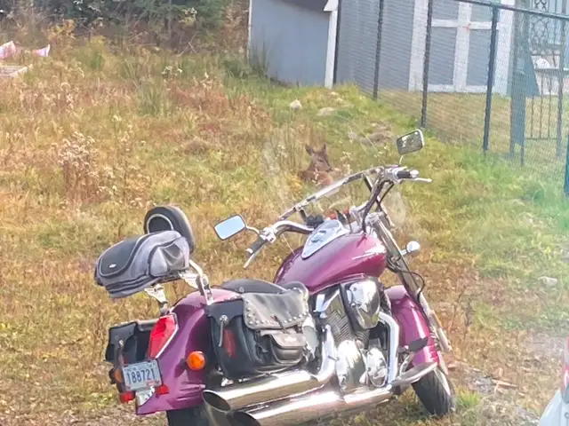 2005 Honda VTX 1300R in Street, Cruisers & Choppers in Cape Breton - Image 2
