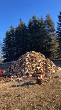 Birch Firewood for sale