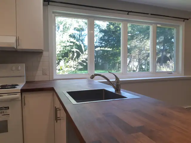 Newly Renovated One-Bedroom Apartment for Rent (Max 2 persons) in Long Term Rentals in Charlottetown - Image 2