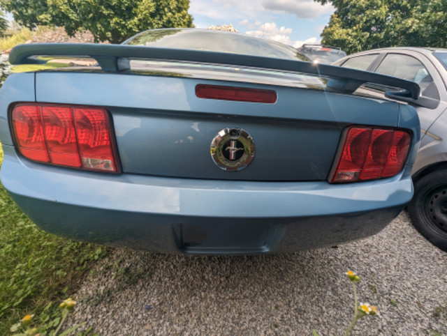 2005 Mustang in Cars & Trucks in St. Catharines - Image 3