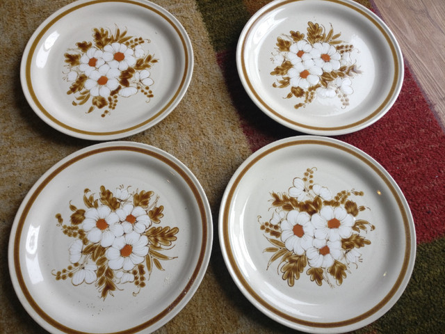 Vintage Mountain Wood Dried Flowers stoneware dinner  plates in Arts & Collectibles in Kitchener / Waterloo - Image 2