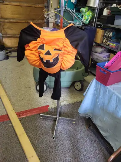 Pumpkin  costume, View more