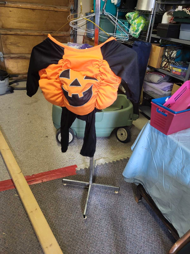 Pumpkin  costume in Costumes in Lethbridge