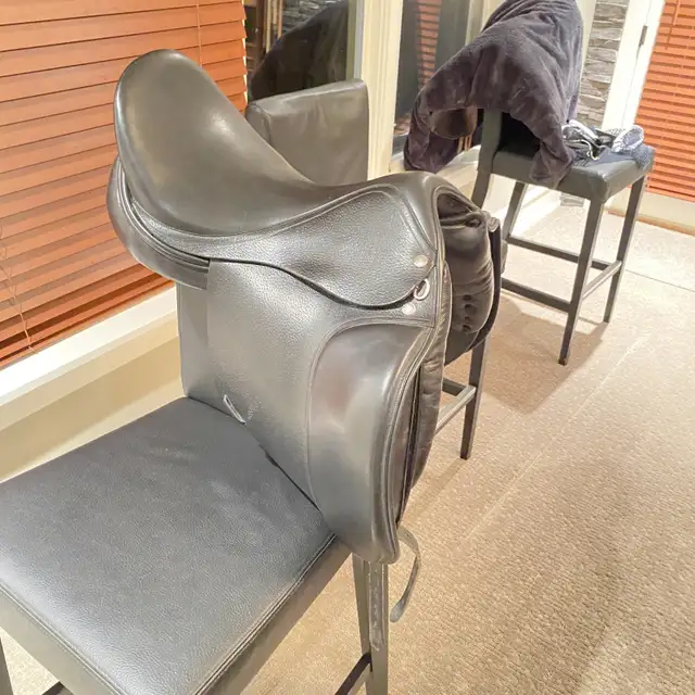 Hanover by Verhan Saddle64849799747203122