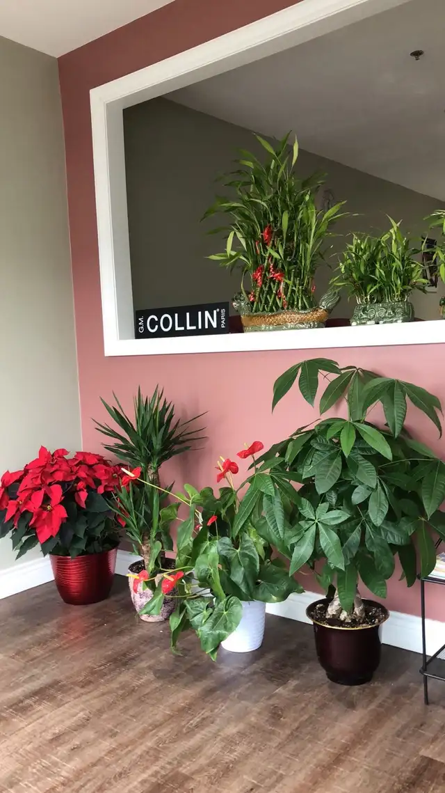 Massage and Osteopath 64519976899457121