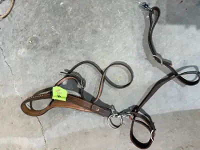 Tie down strap, View more