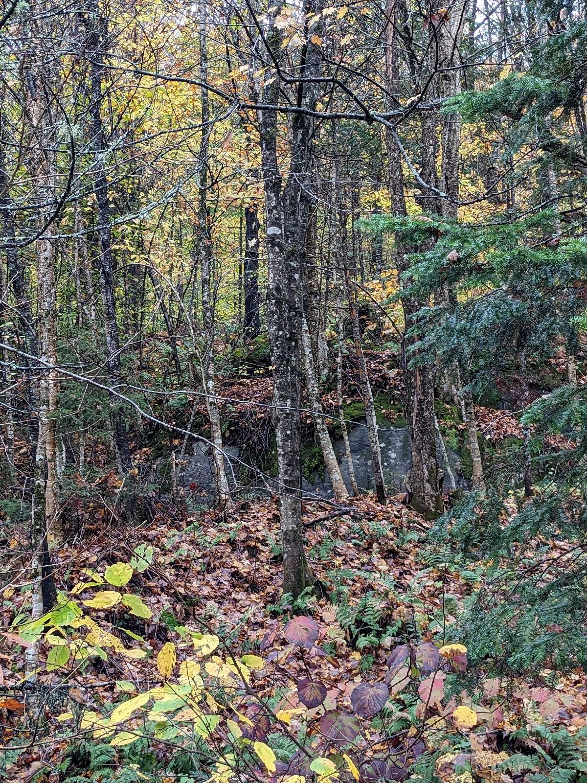 72 Chem. du Lac Joseph — photo 3