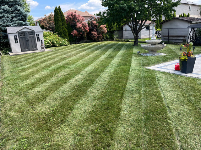 RELIABLE LAWN GUYS, Grass Cutting in Lawn, Tree Maintenance & Eavestrough in Mississauga / Peel Region - Image 3