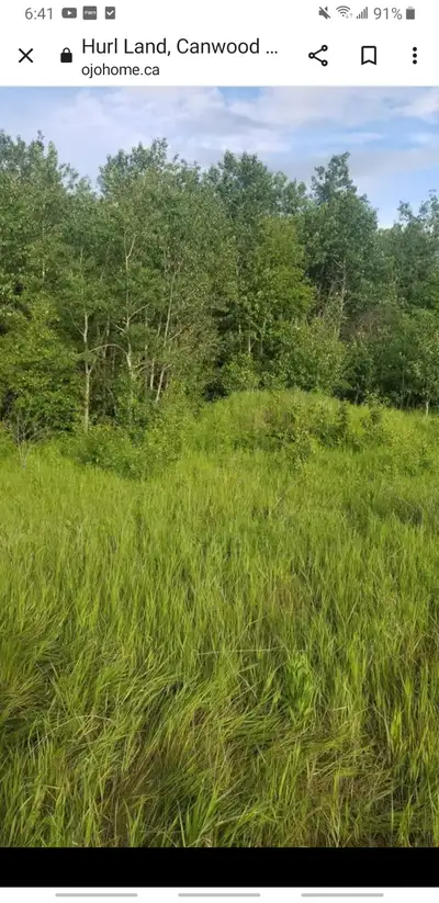 roughy half acre of vacant land for sale 1 mile from pebble bay at iriqouis lake and 3 miles to emer...