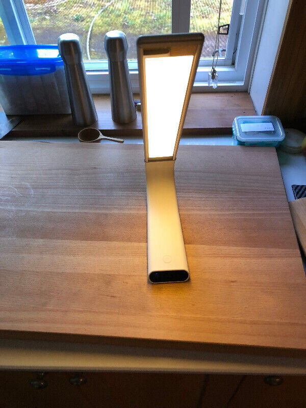 Luxe Cordless LED Desk Lamp, Silver, USB Rechargeable in Indoor Lighting & Fans in UBC