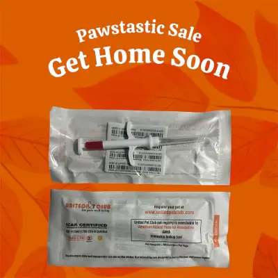 Affordable Animal Pet Microchip for Puppy + Kitten + Dog + Cat, View more